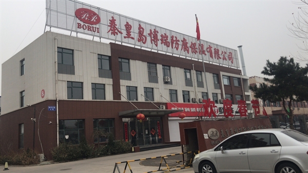 公司簡介
